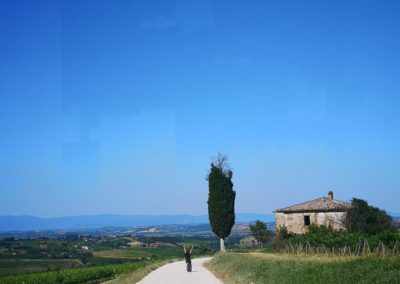 urban bikery wine tour argiano